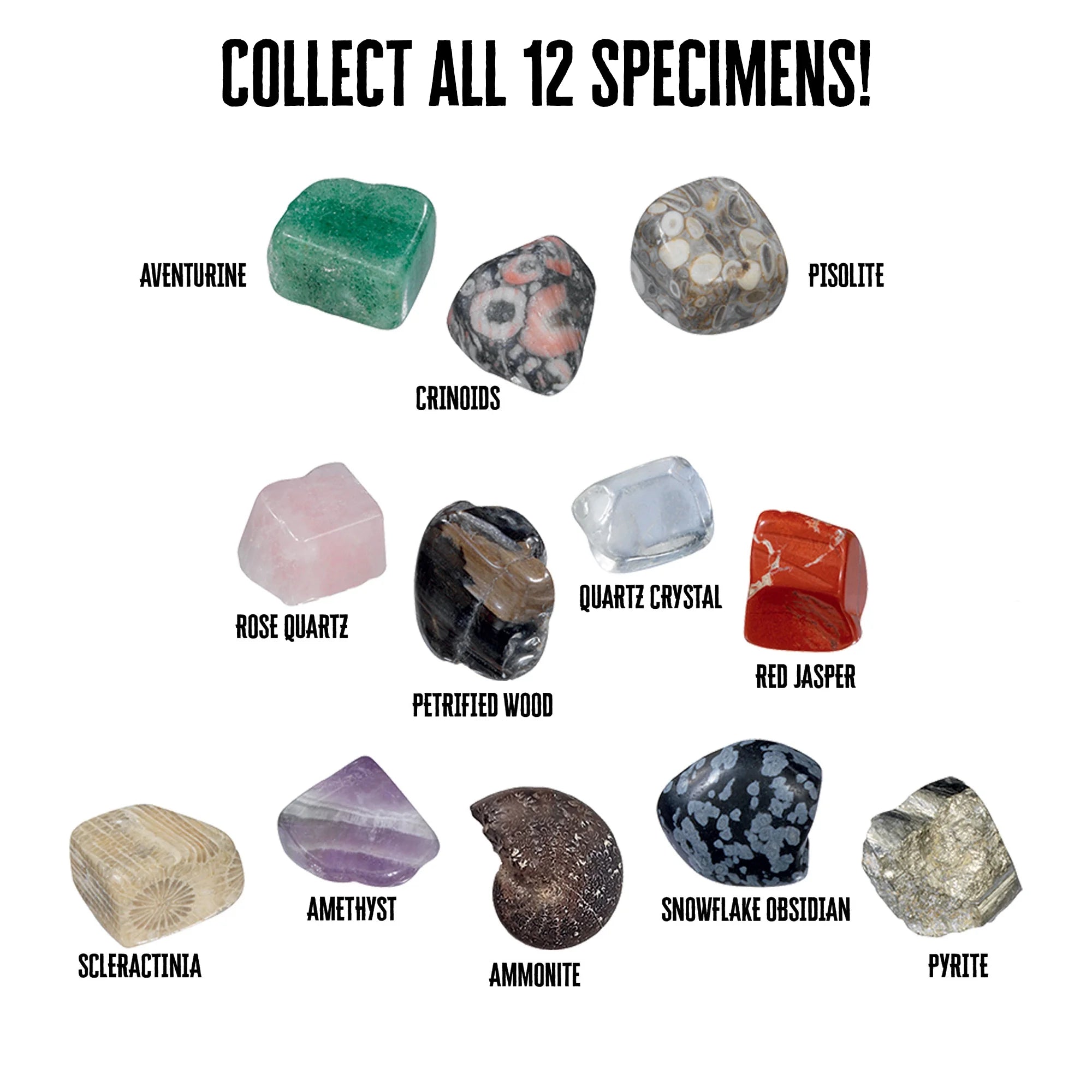 I Dig It! Rocks & Fossils - Mini Excavation Kit