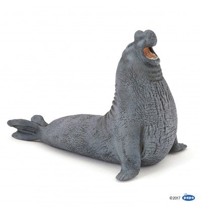 PAPO - Elephant Seal