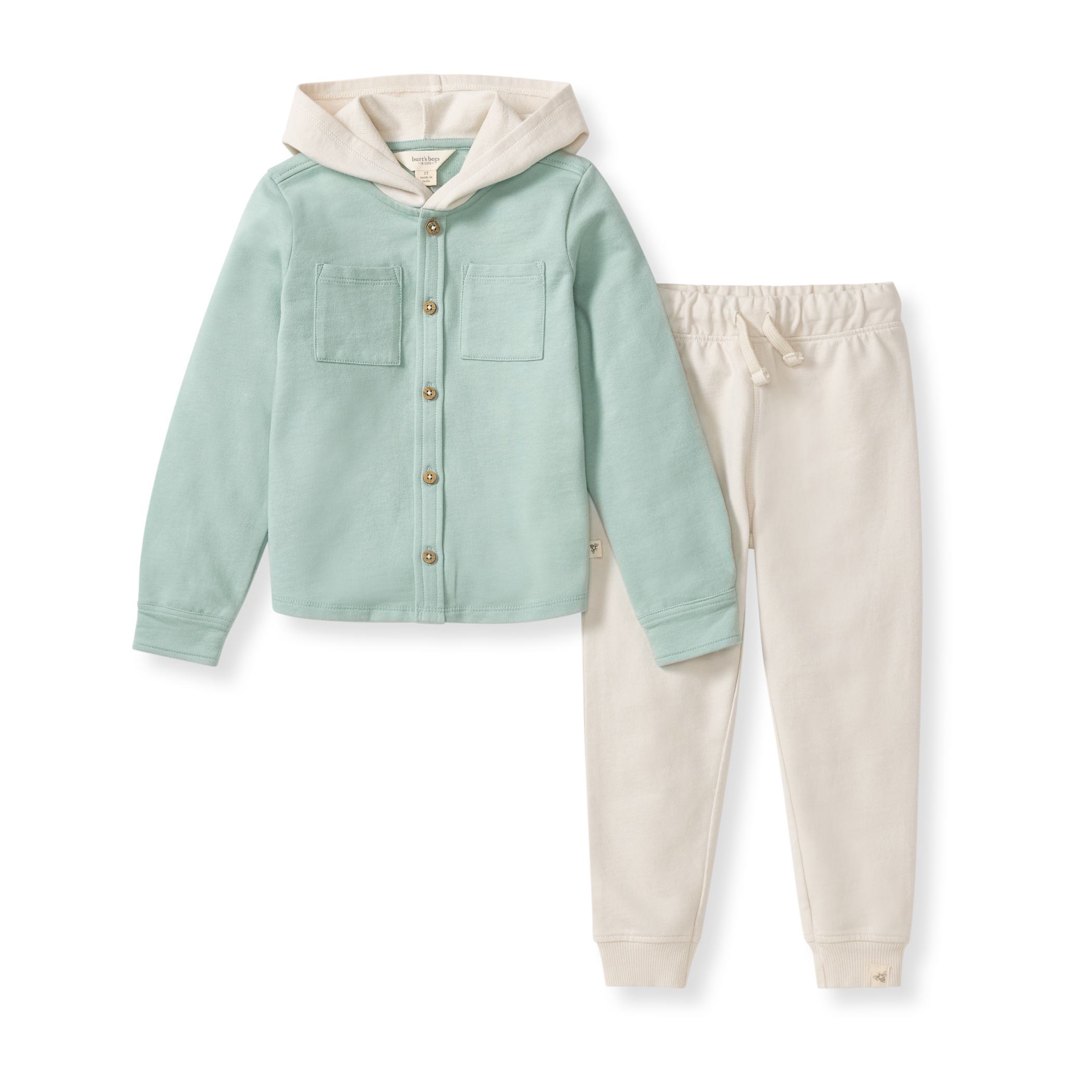 Burt's Bees Organic Cotton Toddler Hooded Shirt & Pants Set