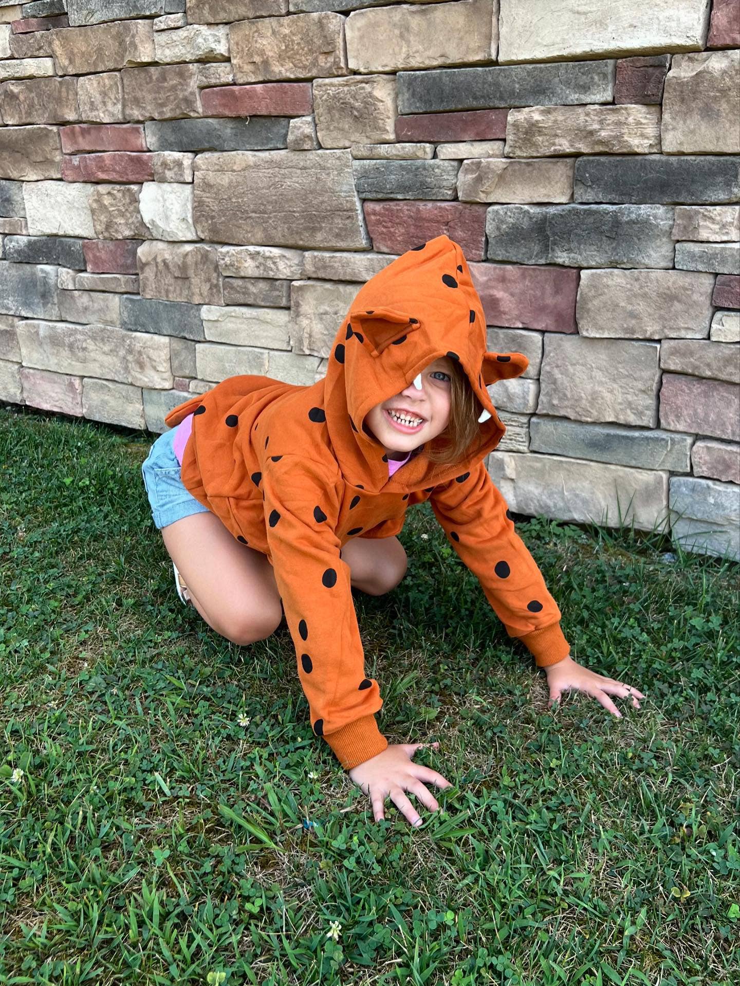 Happy Cheetah 3D Hoodie