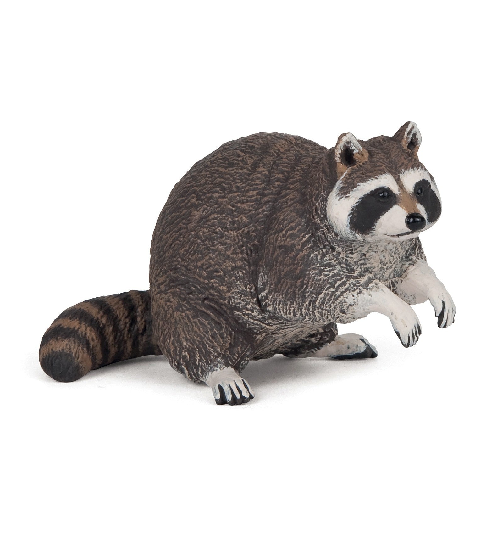 PAPO - Raccoon