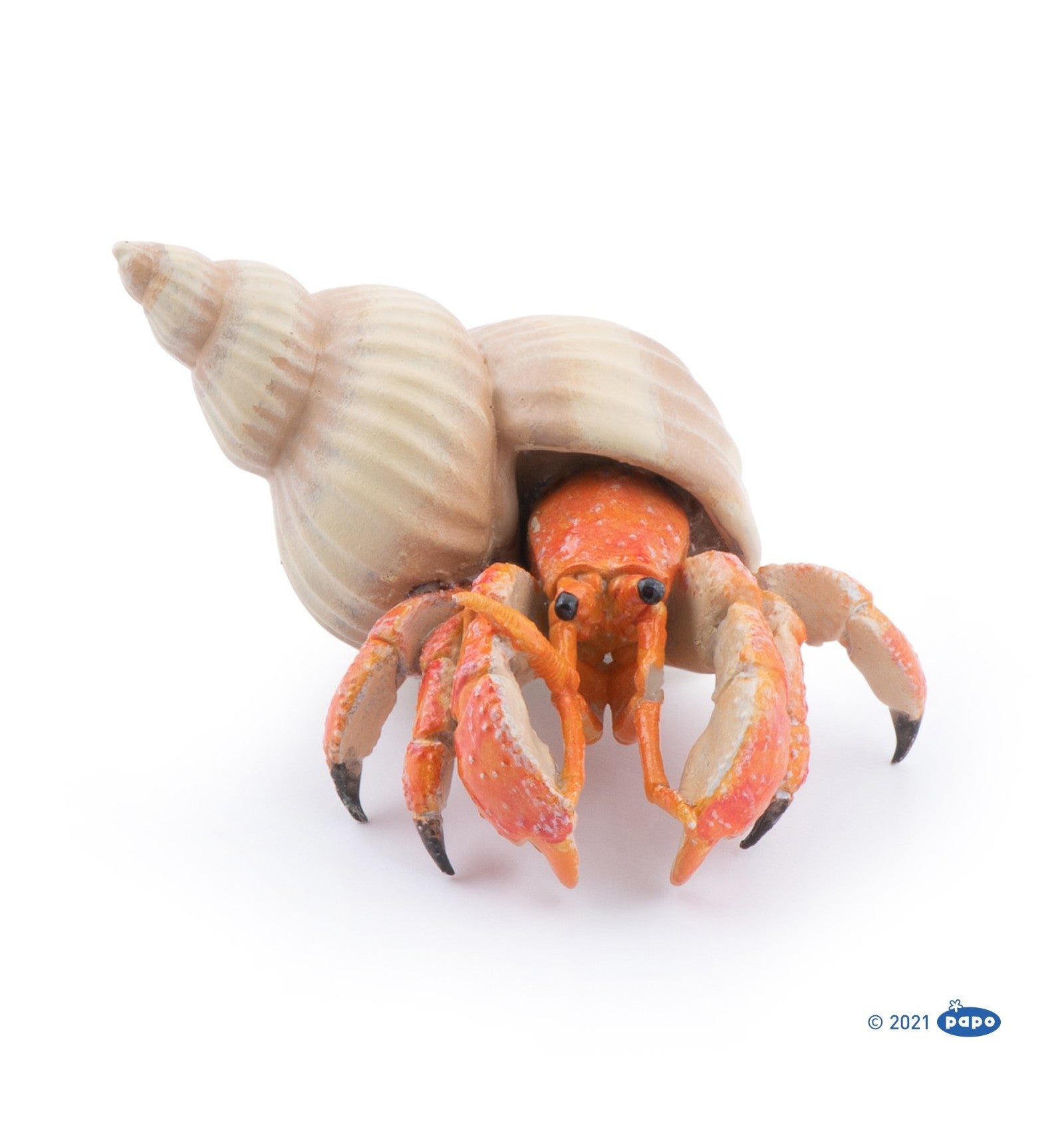 PAPO - Hermit Crab