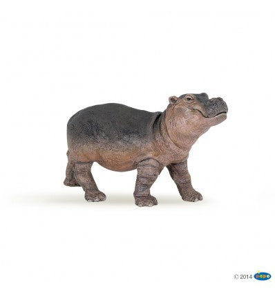 PAPO - Hippopotamus Calf