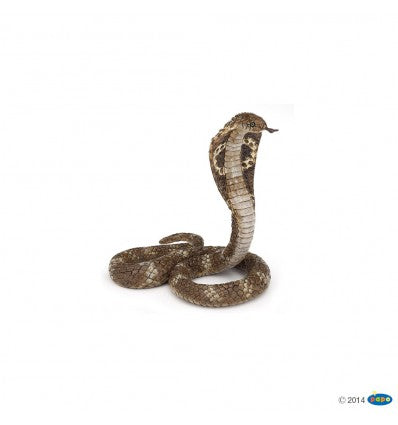 PAPO - King Cobra