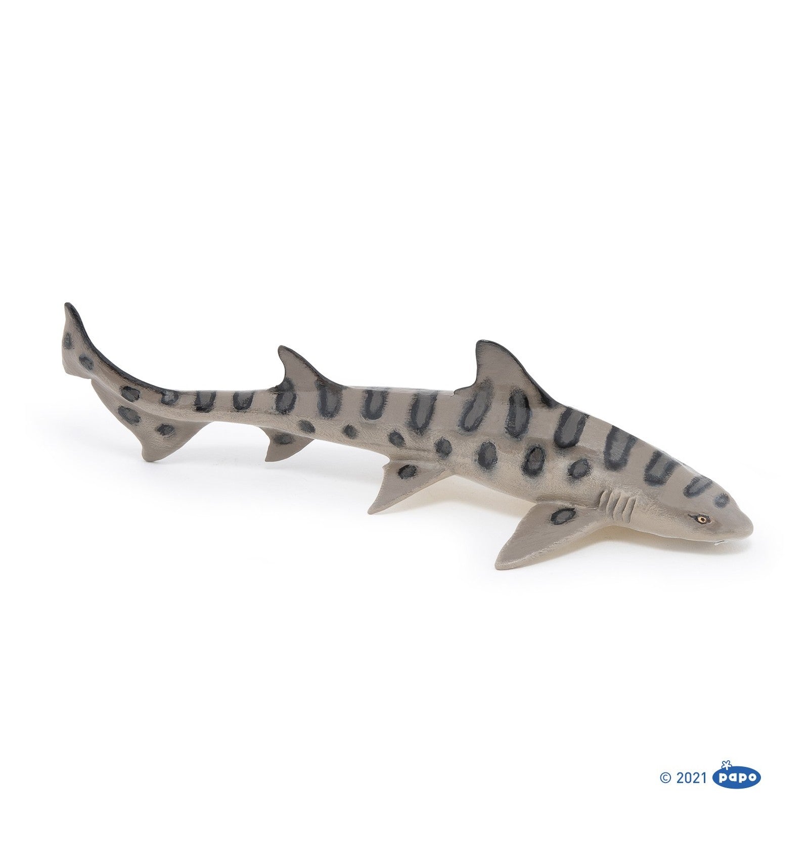 PAPO - Leopard Shark