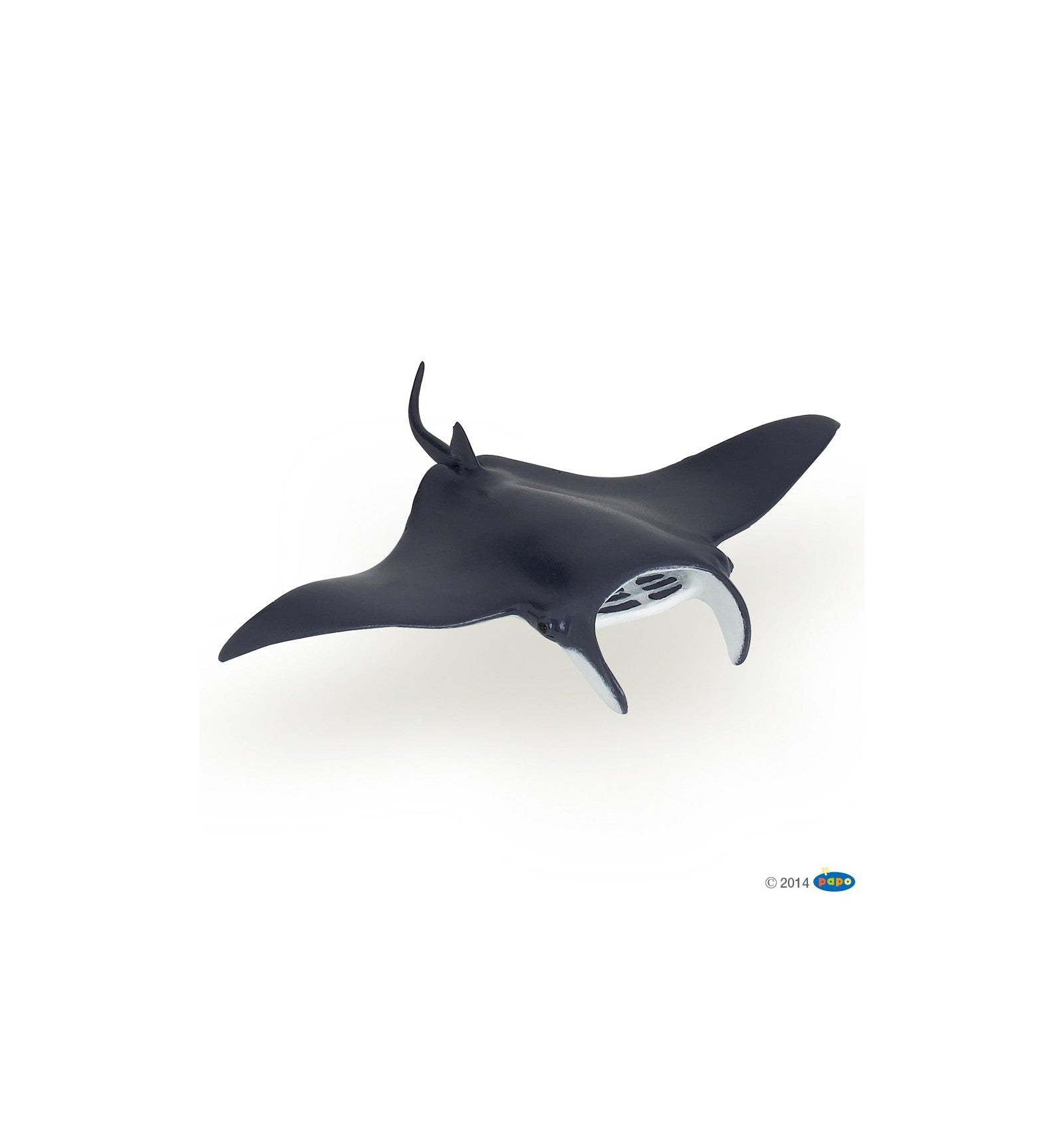 PAPO - Manta Ray