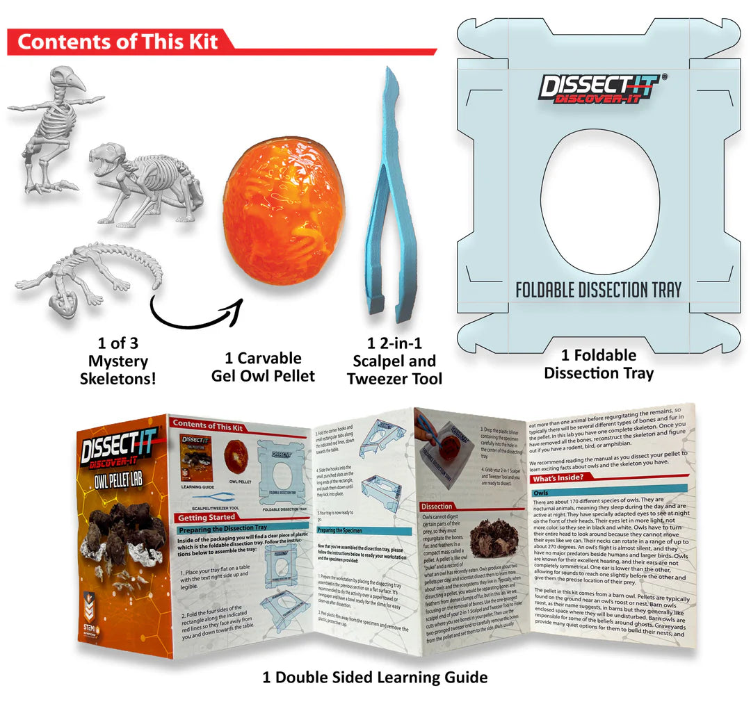 Dissect It Mini Labs Assortment