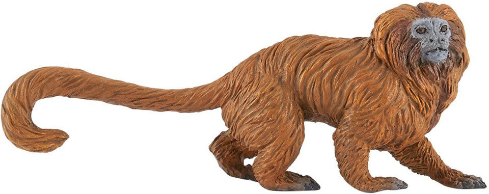 PAPO - Golden Lion Tamarin