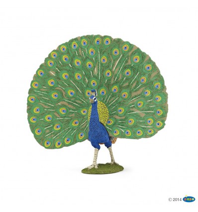 PAPO -Peacock