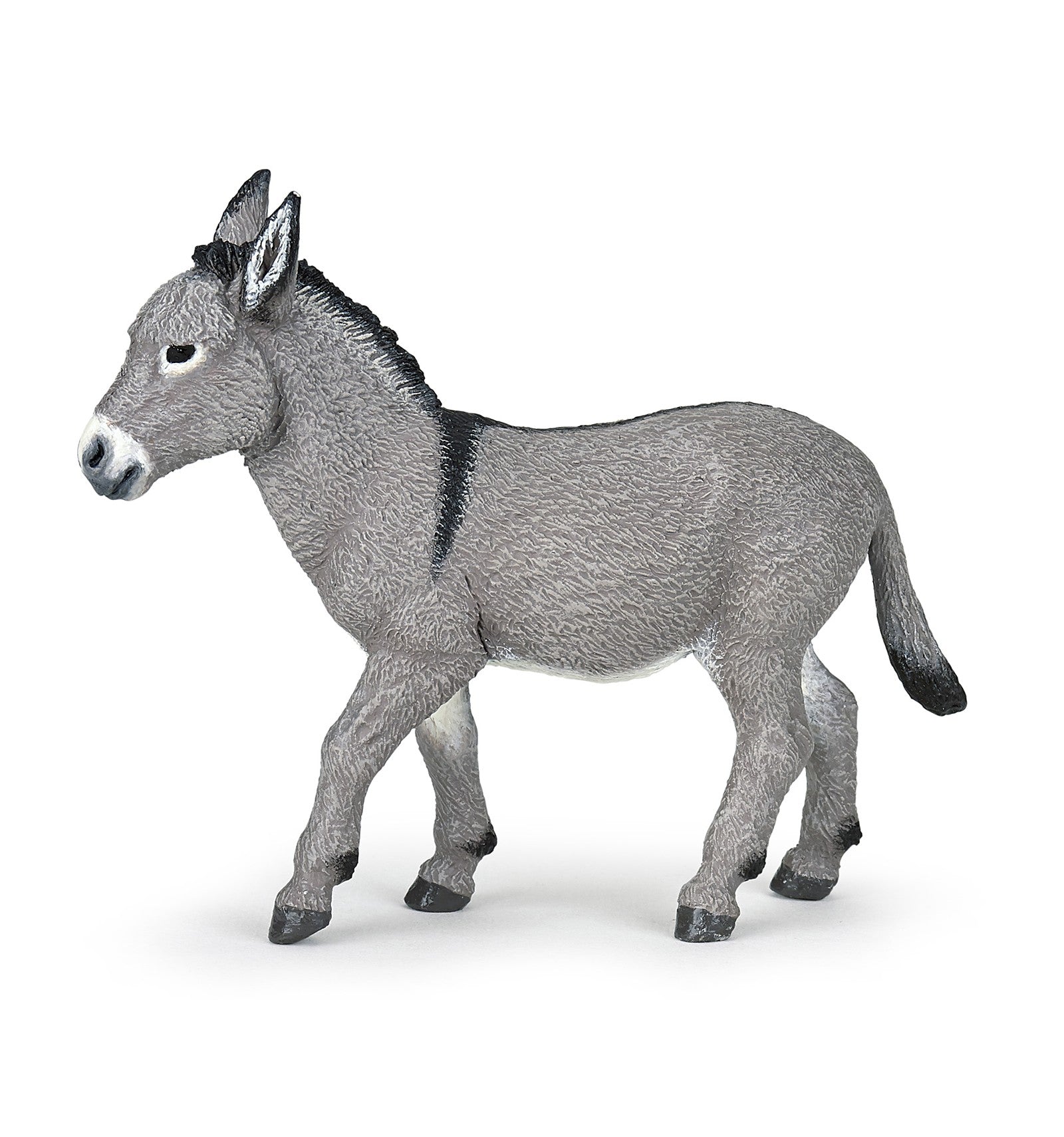 PAPO - Provence Donkey