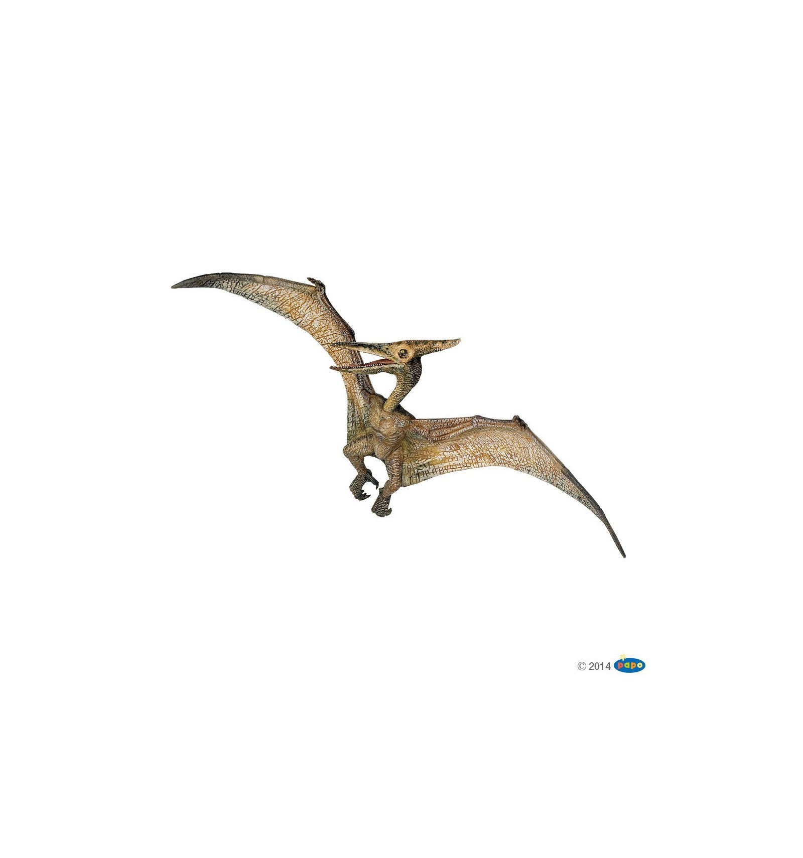 PAPO - Pteranodon