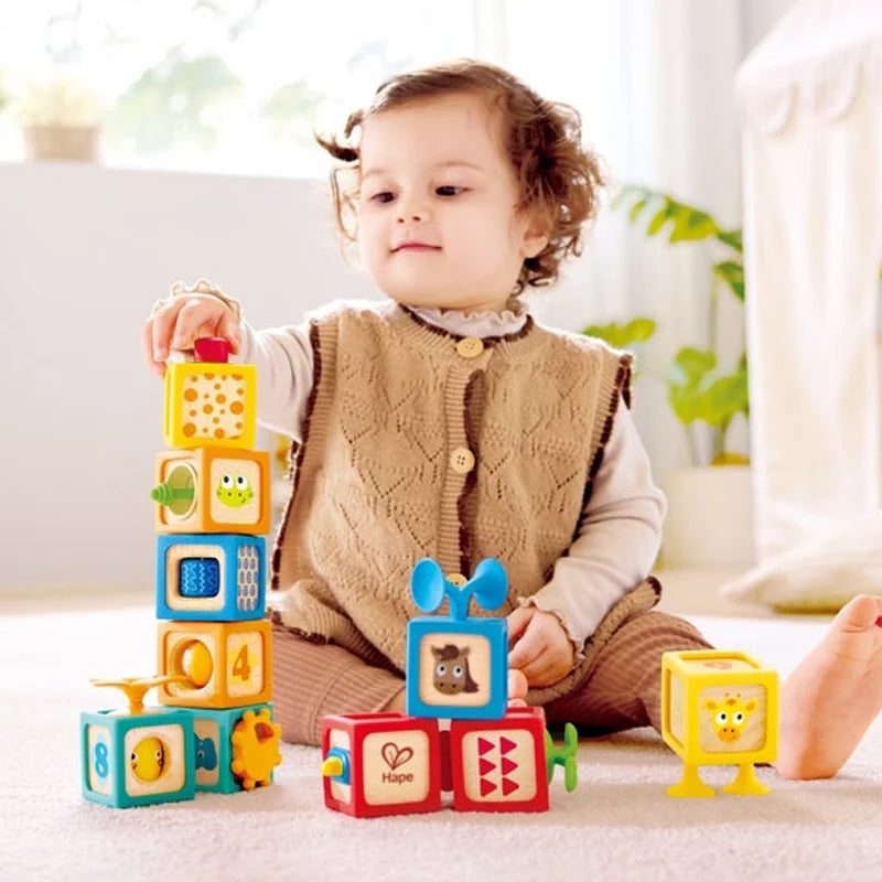Hape Delightful Discovery Blocks