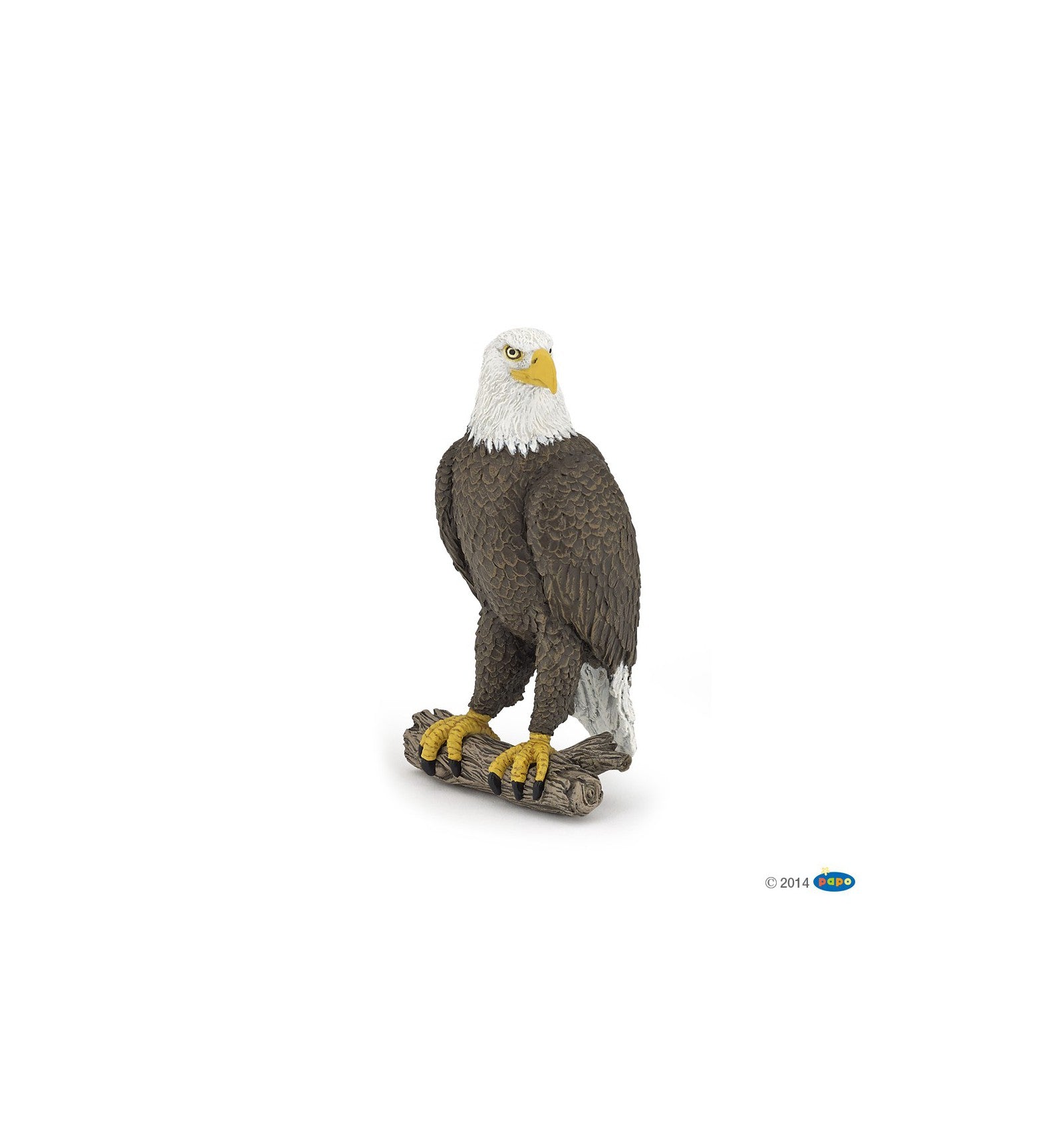 PAPO - Bald Eagle
