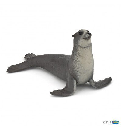 PAPO - Sea Lion