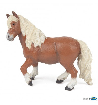 PAPO - Shetland Pony
