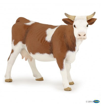 PAPO - Simmental Cow