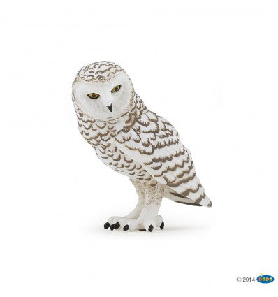 PAPO - Snowy Owl
