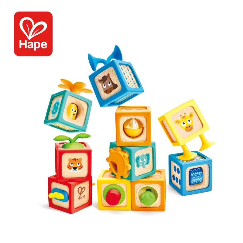 Hape Delightful Discovery Blocks