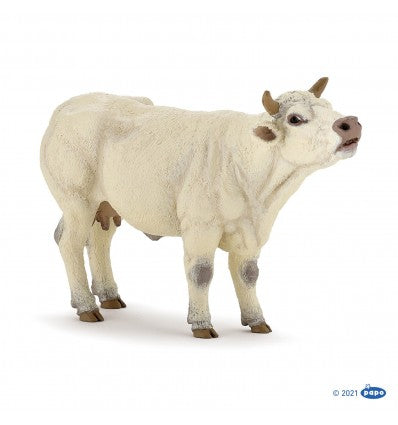 PAPO - Charolais Cow Mooing