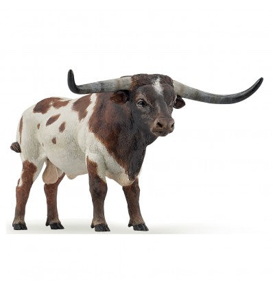 PAPO - Longhorn Bull
