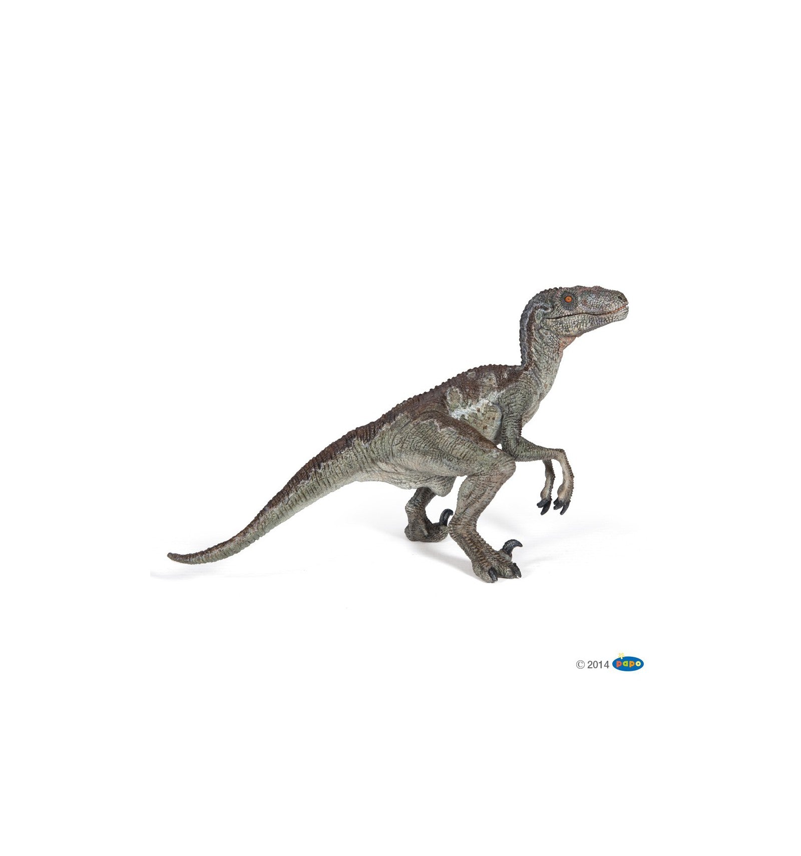 PAPO - Velociraptor