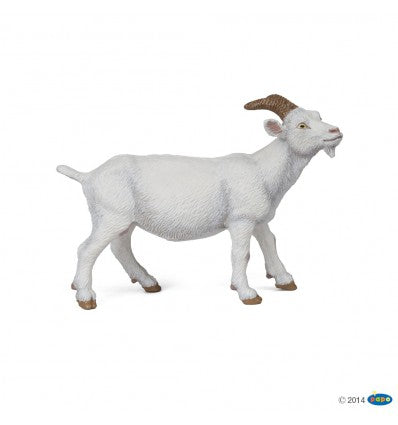PAPO - White Nanny Goat