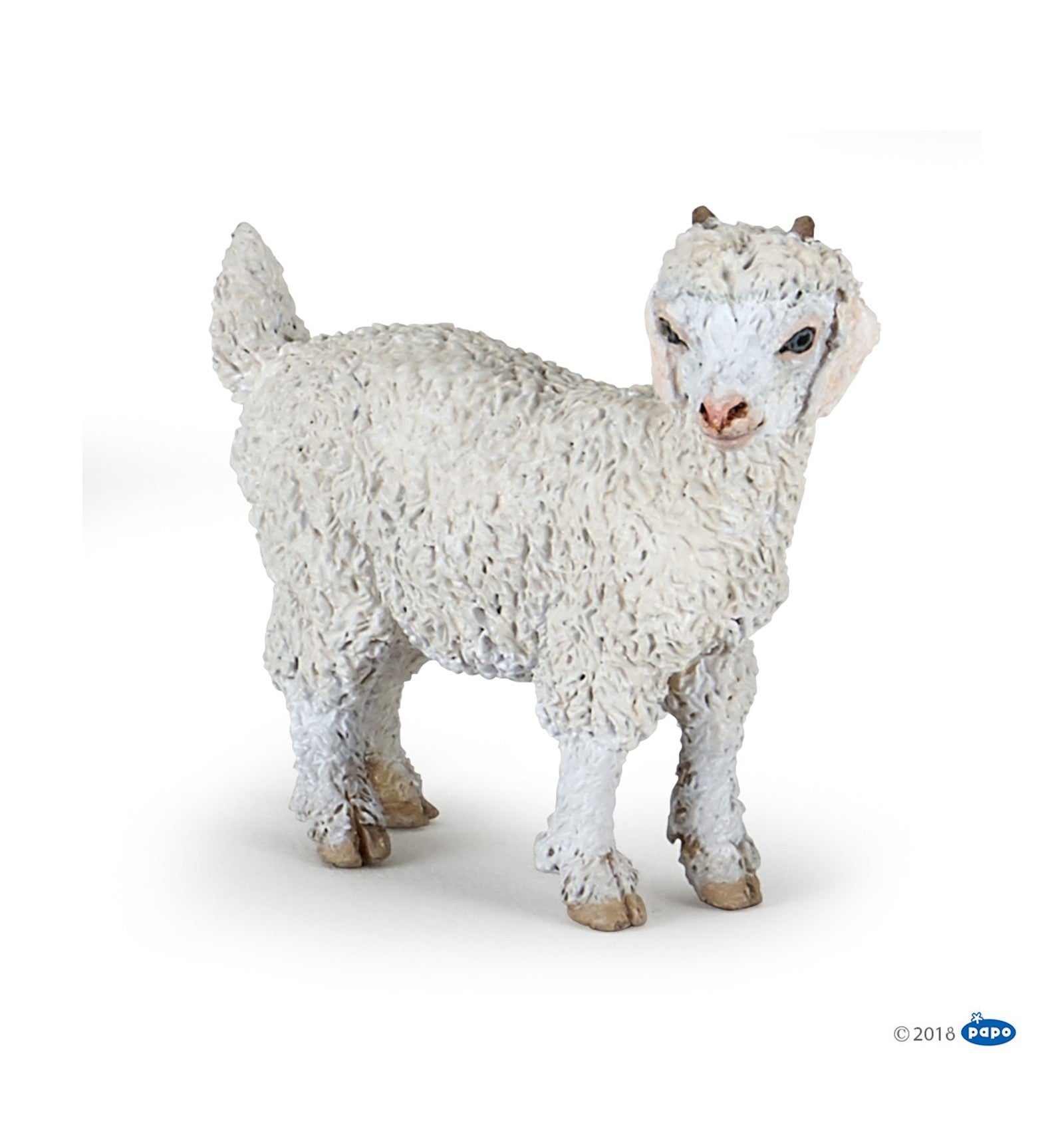 PAPO - Young Angora Goat