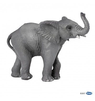 PAPO - Young Elephant