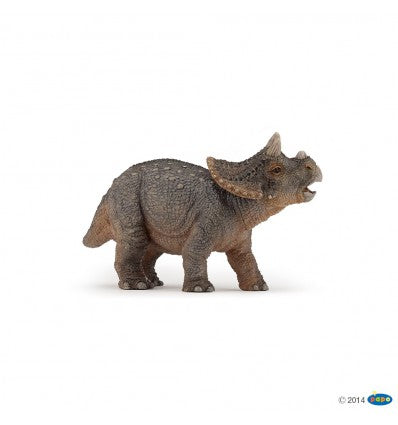 PAPO - Young Triceratops