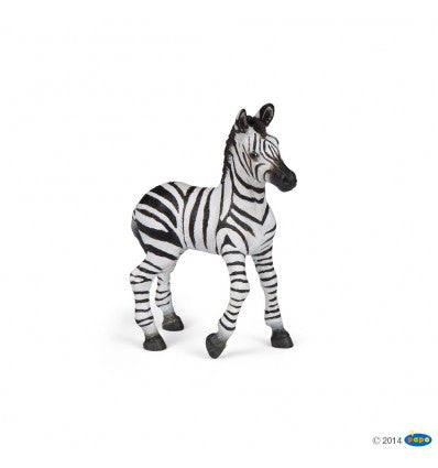 PAPO - Zebra Foal